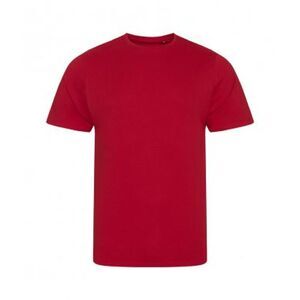 Ecologie Mens Cascades T-Shirt / Fire Red